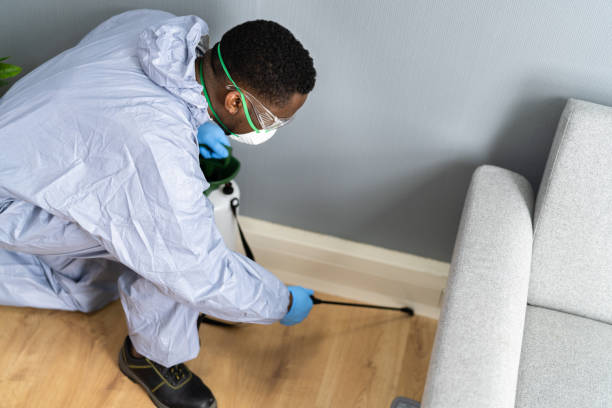 Best Bed Bug Extermination  in Green Valley, CA